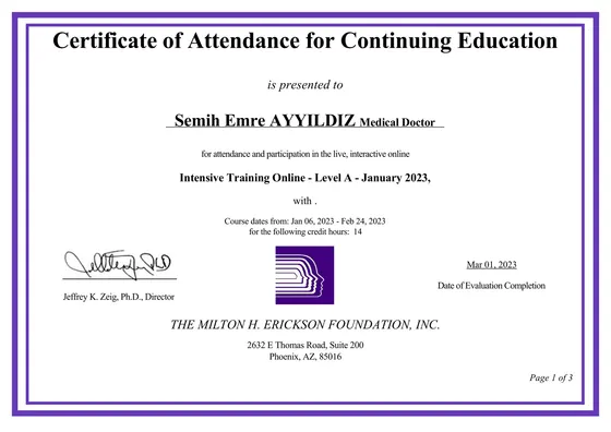 Certificate of Attendance for Continuing Education — Intensive Training Online, Level A — The Milton H. Erickson Foundation, 2023. Belge görseli.