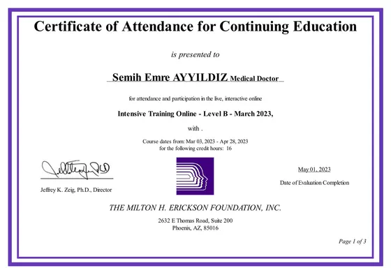 Certificate of Attendance for Continuing Education — Intensive Training Online, Level B — The Milton H. Erickson Foundation, 2023. Belge görseli.