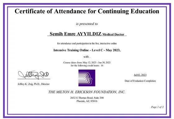 Certificate of Attendance for Continuing Education — Intensive Training Online, Level C — The Milton H. Erickson Foundation, 2023. Belge görseli.