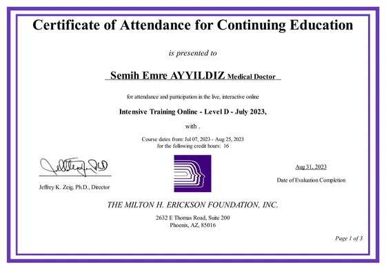 Certificate of Attendance for Continuing Education — Intensive Training Online, Level D — The Milton H. Erickson Foundation, 2023. Belge görseli.