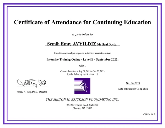 Certificate of Attendance for Continuing Education — Intensive Training Online, Level E — The Milton H. Erickson Foundation, 2023. Belge görseli.